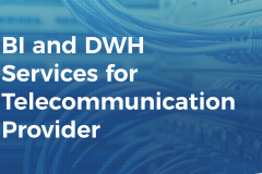 BI and DWH Services for Telecommunication Provider